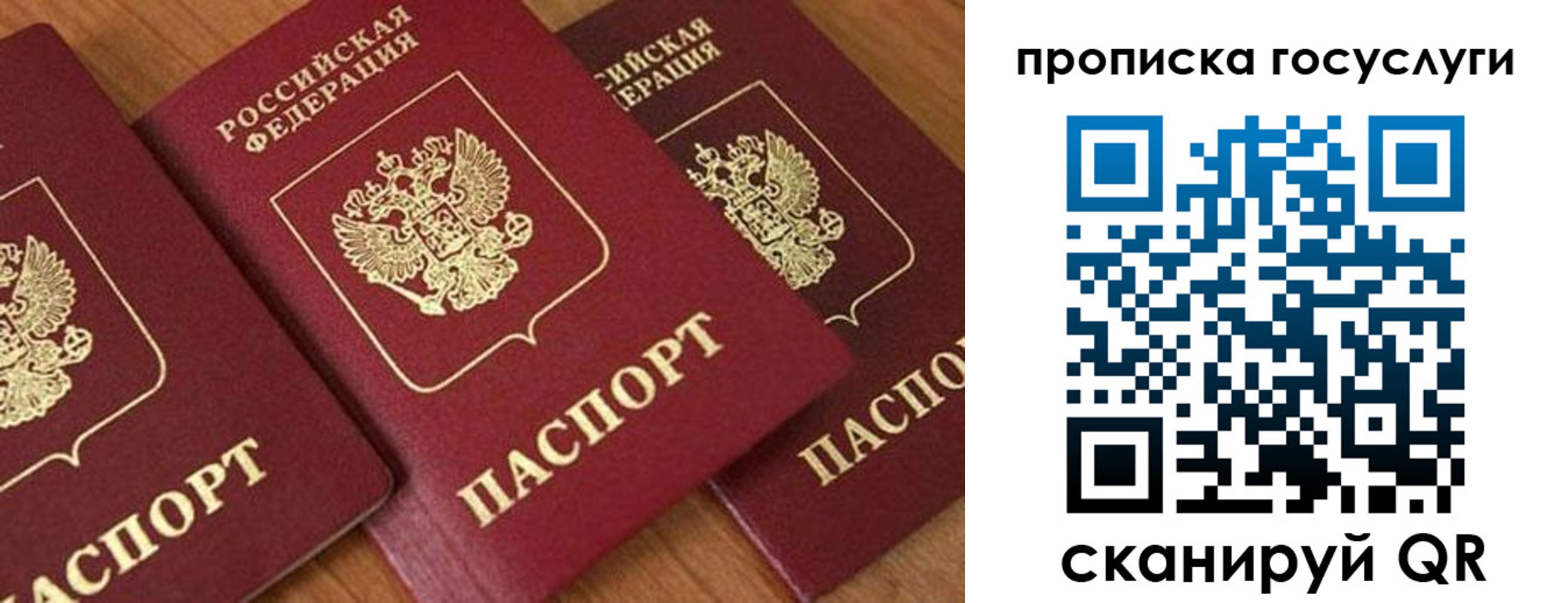 временная прописка в Вольске